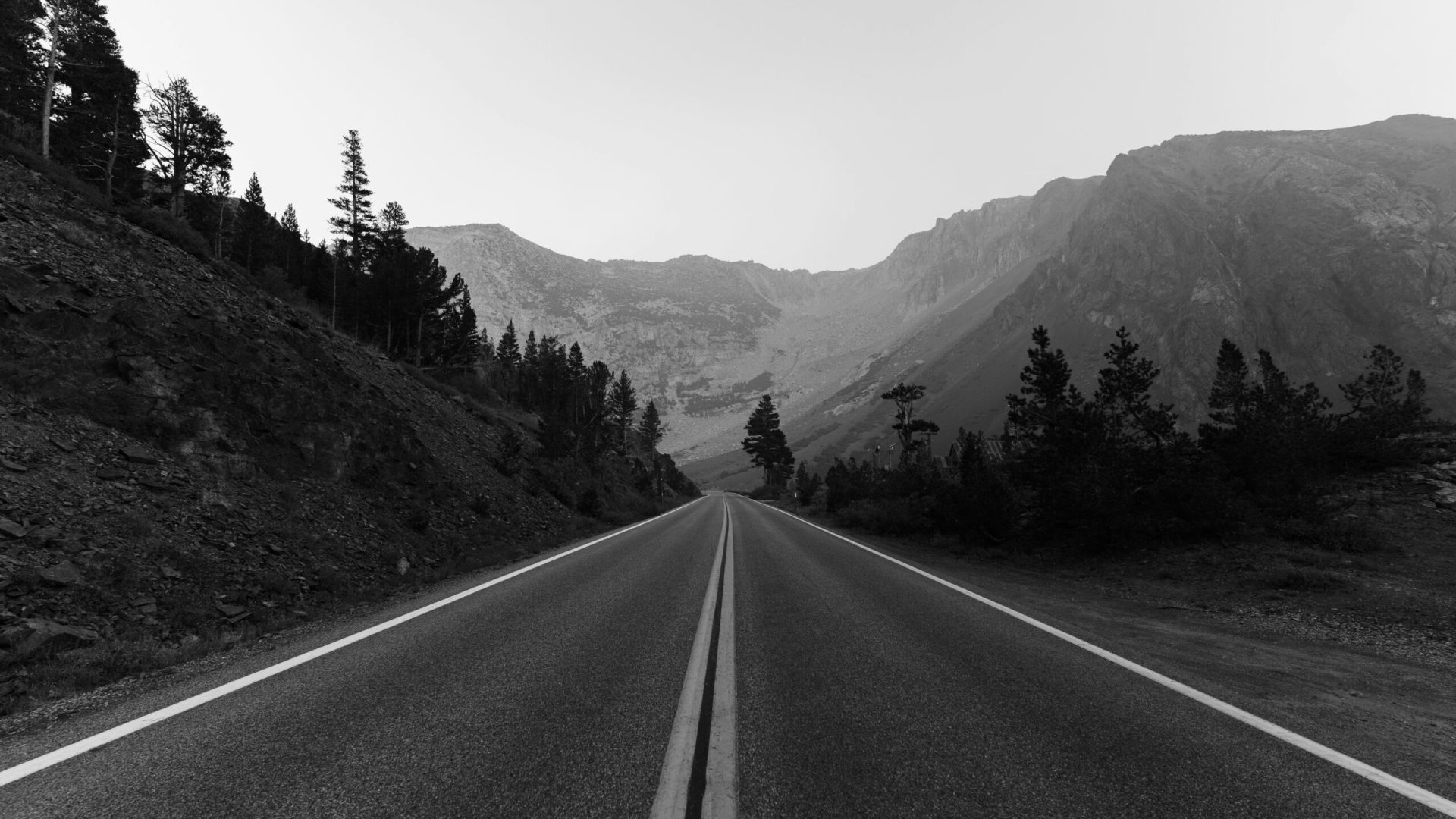 mark-pecar-wFRWw3CqU1U-unsplash (1)